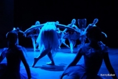 gallery-5