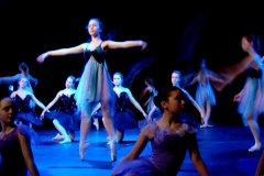 gallery-6