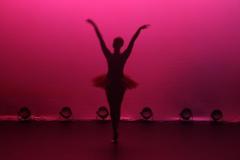 IMG_3510
