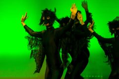 151220-DCOOL-DanceShow-136